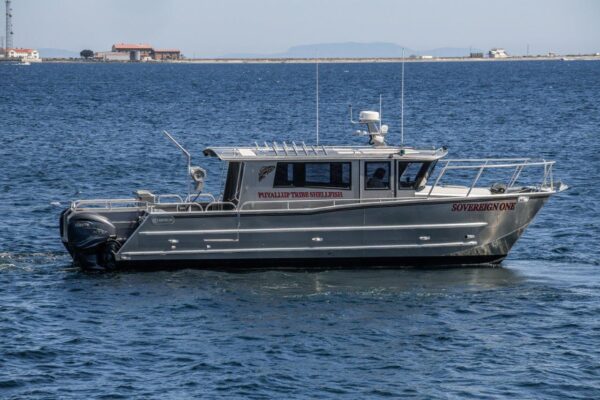 aluminum catamaran power boats for sale
